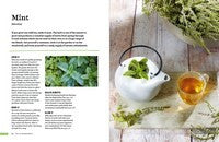 Wild Tea: Brew Your Own Infusions from Home-grown and Foraged Ingredients