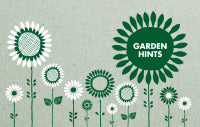 Thrifty Household: More than 1000 budget-friendly hints and tips for a clean, waste-free, eco-friendly home