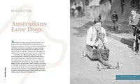 Australia's Dogs