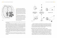 Australian Beekeeping Manual