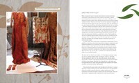 Eco Colour: Botanical dyes for beautiful textiles (OUT OF PRINT)