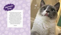 This is not my cat: Feline friends who picked their humans