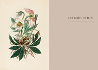 Practical Guide to Magic in Nature, A