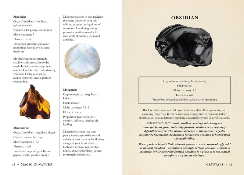 Practical Guide to Magic in Nature, A