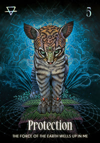 Shamanic Oracle - Connect To The Medicine Of The Earth