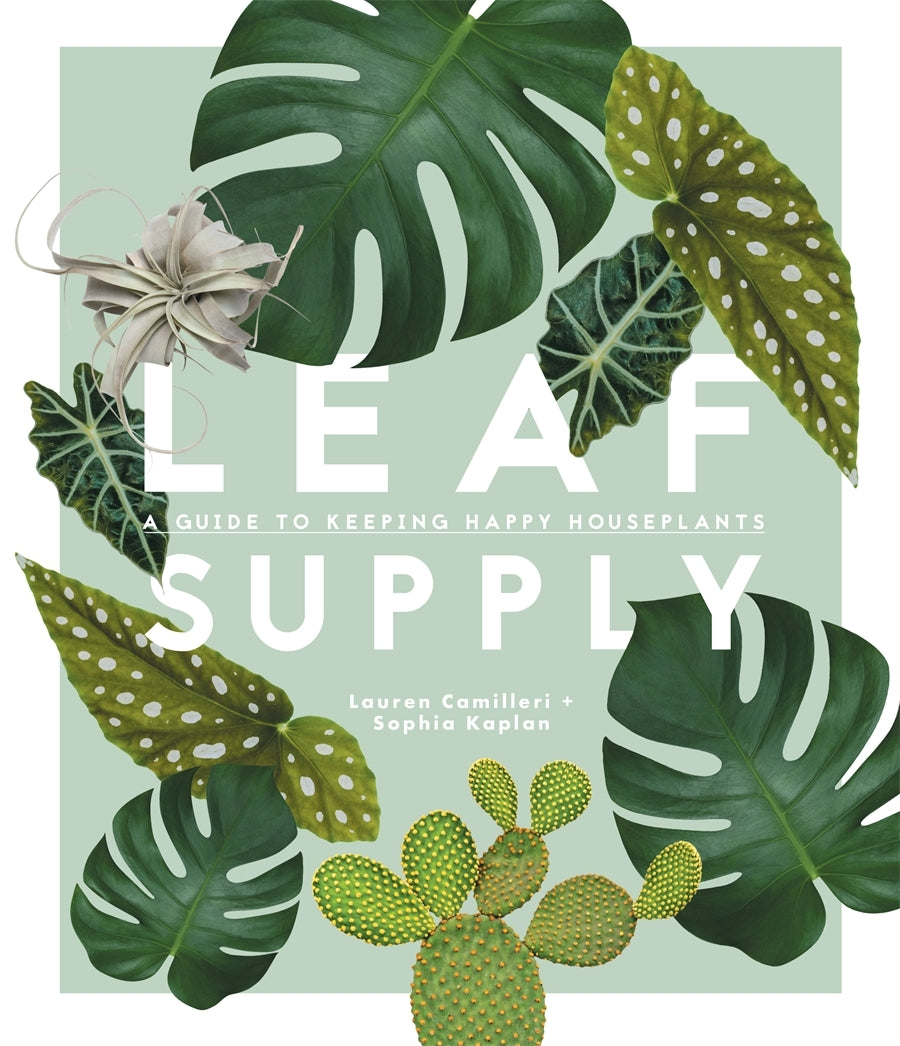 Leaf Supply: A guide to keeping happy house plants