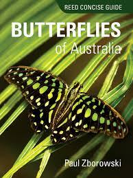 Reed Concise Guide to Butterflies of Australia: Reed Concise Guide