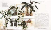 Leaf Supply Guide to Creating Your Indoor Jungle, The