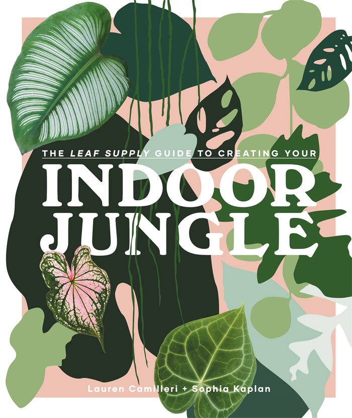 Leaf Supply Guide to Creating Your Indoor Jungle, The