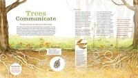 Tree Beings