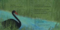 Cooee Mittigar: A Story on Darug Songlines