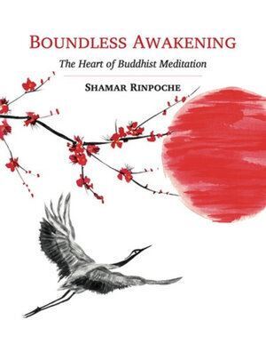 Boundless Awakening: The Heart of Buddhist Meditation