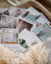 Wild Lands Tarot: Roam the Lands and Ancient Wisdom Will be Revealed
