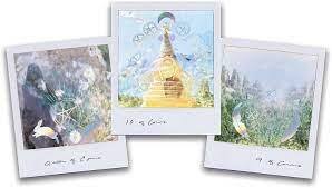 Wild Lands Tarot: Roam the Lands and Ancient Wisdom Will be Revealed