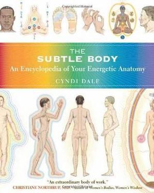 Subtle Body, The: An Encyclopedia of Your Energetic Anatomy