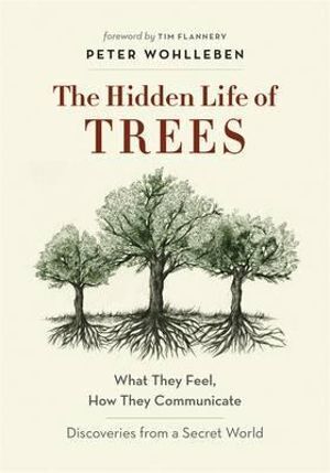 Hidden Life of Trees